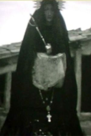 San Vicente's poster