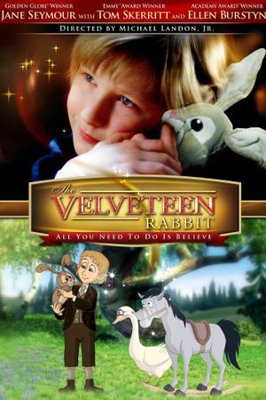 The Velveteen Rabbit's poster