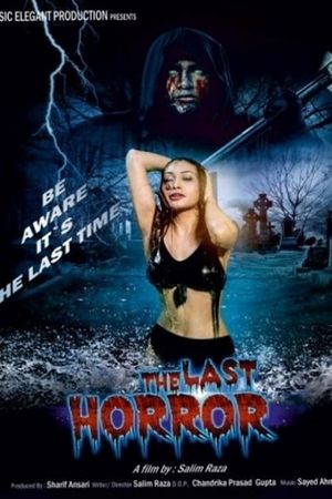 The Last Horror's poster