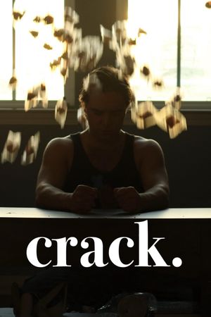 crack.'s poster