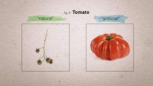 Food Evolution's poster