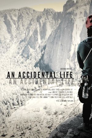 An Accidental Life's poster