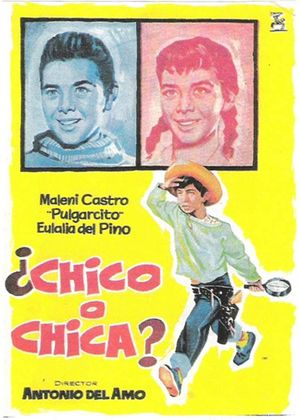 ¿Chico o chica?'s poster