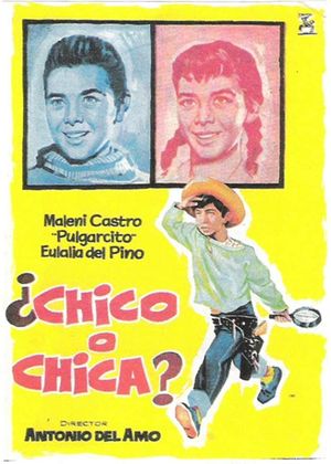 ¿Chico o chica?'s poster image