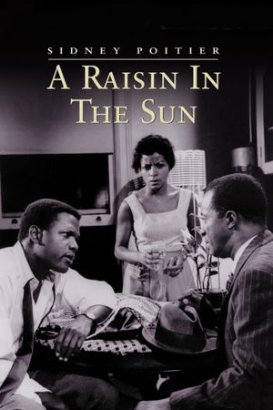 A Raisin in the Sun's poster