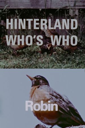 Hinterland Who's Who: Robin's poster