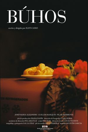 Búhos's poster