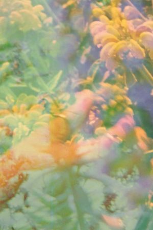 Pavilion's poster