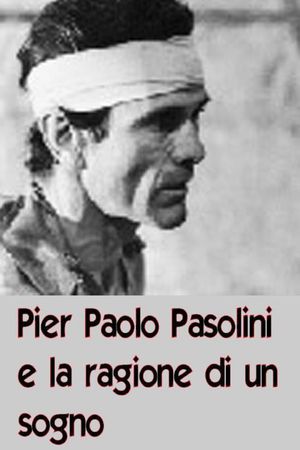 Pier Paolo Pasolini e la ragione di un sogno's poster
