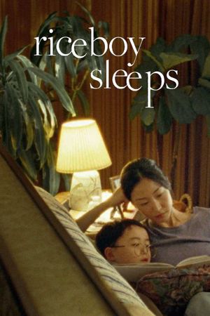 Riceboy Sleeps's poster