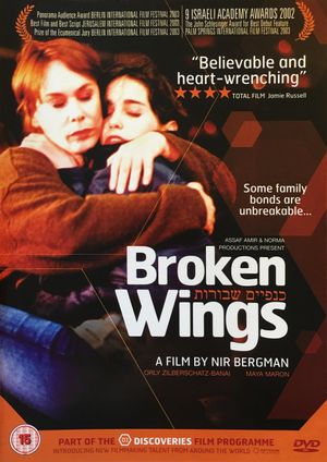 Broken Wings's poster