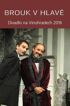 Brouk v hlavě's poster