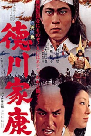Tokugawa Ieyasu's poster