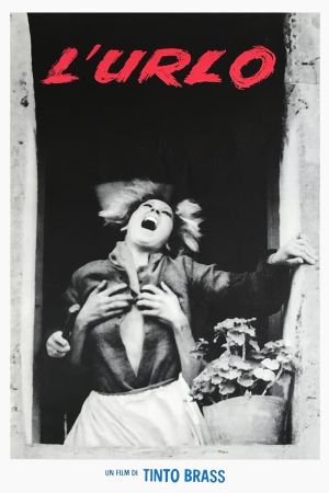 The Howl's poster