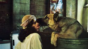 Won Ton Ton: The Dog Who Saved Hollywood's poster