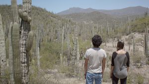 Two Cacti's poster