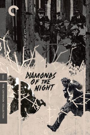 Diamonds of the Night's poster