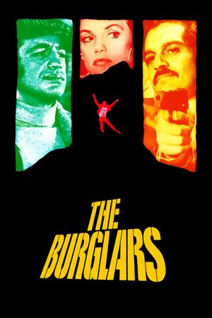 The Burglars's poster