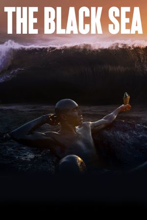 The Black Sea's poster