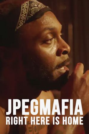 JPEGMAFIA - Right Here Is Home's poster