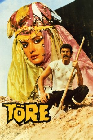 The Usage's poster