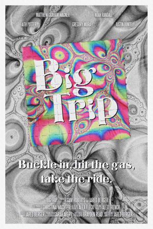 Big Trip's poster