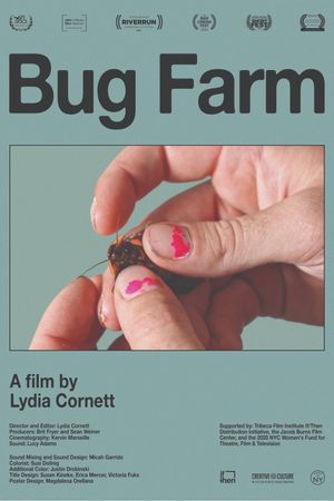 Bug Farm's poster