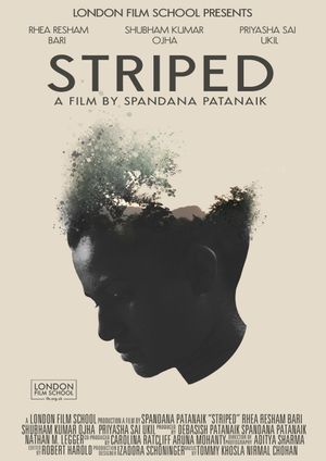 Striped's poster