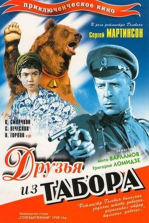 Druzya iz tabora's poster