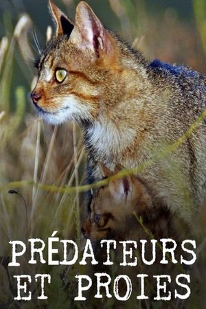 Prédateurs et proies - La faune de la péninsule Ibérique's poster