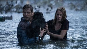 Crawl's poster