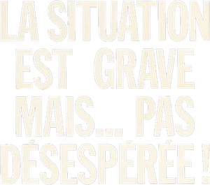 La situation est grave... mais pas désespérée's poster