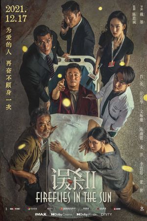 Fireflies in the Sun's poster