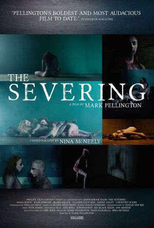 The Severing's poster
