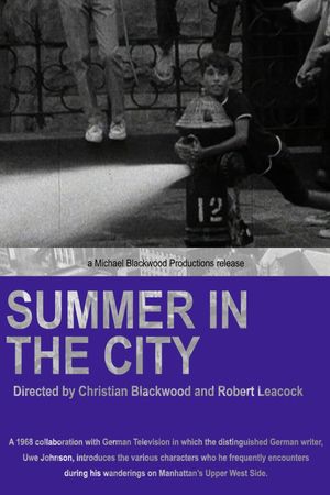 Summer in the City's poster