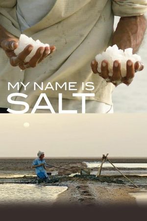 My Name Is Salt's poster