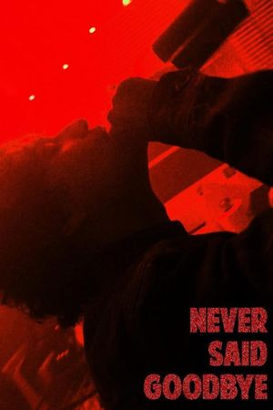 Never Said Goodbye's poster image