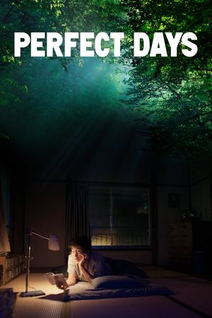 Perfect Days's poster