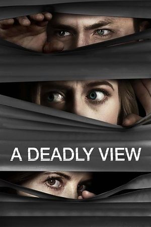 The Baby Stealer's poster