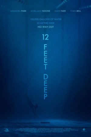 12 Feet Deep's poster