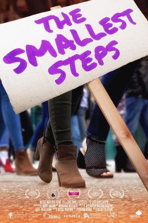 The smallest steps's poster