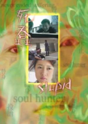 Stupid's poster image