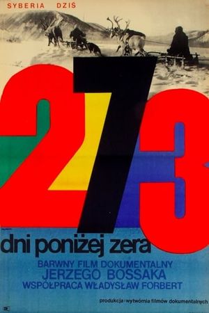 273 dni ponizej zera's poster