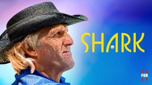 Shark's poster