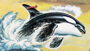 Namu, the Killer Whale's poster