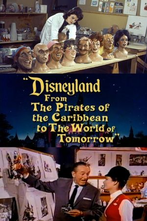 Disneyland: From the Pirates of the Caribbean to the World of Tomorrow's poster