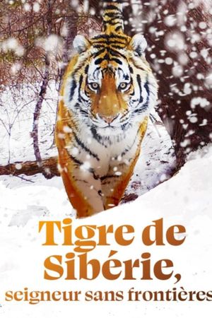 Siberian Tiger, The Secret Kingdom's poster