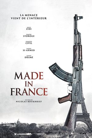 Made in France's poster