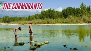 The Cormorants's poster