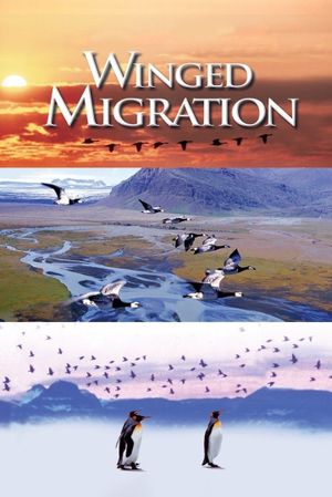Winged Migration's poster